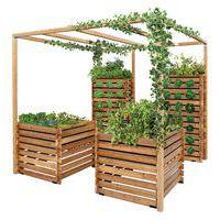 Pack complet : murs bacs à hauteur-pergola thumbnail image 2