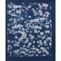 Pack de 30 feuilles cyanotype pré imprégnées A4 thumbnail image 4