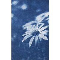 Pack de 30 feuilles cyanotype pré imprégnées A4 thumbnail image 3