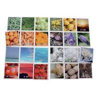 Loto couleurs thumbnail image 3