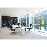 Destructeur de papier - IDEAL 2445 CM 0,8x12mm P-6 thumbnail image 12