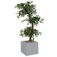 Bac bas métal O'CARRE Gris sur patins Bonzaî - Image principale