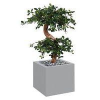 Bac bas métal O'CARRE Gris sur roulettes Bonzaî - Image principale