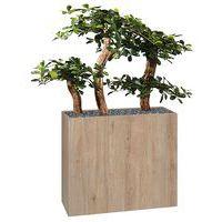 Jardinière bois BOSCO mobile Bonzaî - Image principale