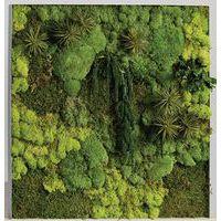 Cadre végétal n 19 - Image 4