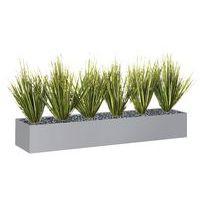 Jardinière basse JB12 Graminées thumbnail image 3