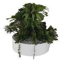 Composition SUCCULENTE 1 Ø 320 mm Blanc - Image principale