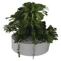 Composition SUCCULENTE 1 Ø 320 mm Gris - Image principale