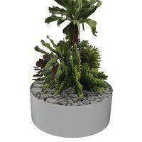 Composition SUCCULENTE 2 Ø 255 mm Gris - Image principale