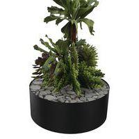 Composition SUCCULENTE 2 Ø 255 mm Noir - Image principale