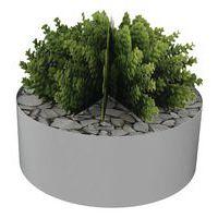 Composition SUCCULENTE 3 - Image principale