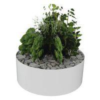 Composition AROMATIQUE 2 - Image principale