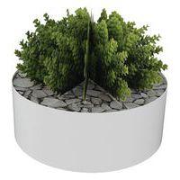 Composition SUCCULENTE 3 - Image 3