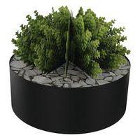 Composition SUCCULENTE 3 - Image 2