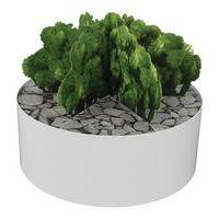 Composition AROMATIQUE 3 - Image 2