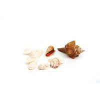 Filet 400 g coquillages assortis thumbnail image 3