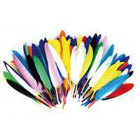 Sachet de 1000 plumes assorties - Image 3