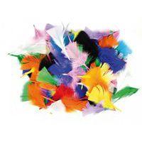 Sachet de 1000 plumes assorties - Image 4