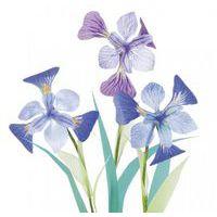 Calque couleur imprimable thumbnail image 4