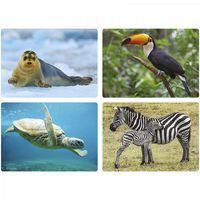 Imagier photos - Les animaux thumbnail image 3