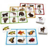 Maxiloto animaux thumbnail image 2