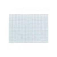 CONQUERANT Copies Doubles Non Perforées A4 Grands Carreaux Seyès 200 Pages Sous Film Blanches - Image 5