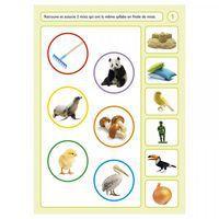 Logico Primo - Syllabes MS - Image 2