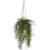 Les macramés fougères et jasmins - Image principale