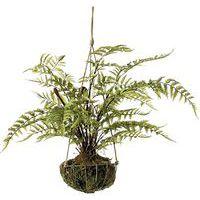 Lot de 2 suspensions fougères Ø 45 - Image principale