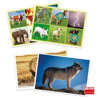Loto sonore animaux et nature thumbnail image 2
