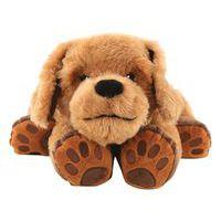 Théo le chien thérapie - Image principale