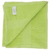 Lot 10 serviettes éponge 400 g/m² 50 x 90 cm Anis - Image principale