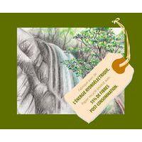 Paquet 250 feuilles dessin recyclé 160g 50 x 65 cm - Image 2