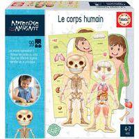 Le corps humain - Educa