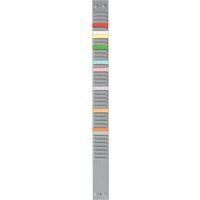 Lot de 10 Bandes pour planning à fiches T, Indice 2, 24 fentes thumbnail image 3