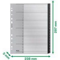 Lot de 10 Intercalaires  Re:Cycle - numérique 1 à 31 -  Leitz - Image 2