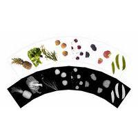 Cartes et radiographies de plantes (84 pièces) thumbnail image 4