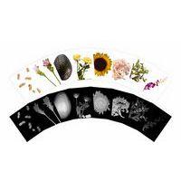 Cartes et radiographies de plantes (84 pièces) thumbnail image 5
