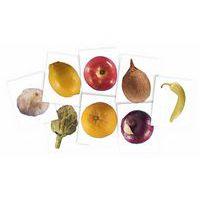 Cartes et radiographies de plantes (84 pièces) thumbnail image 3