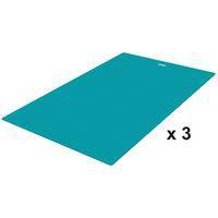 OASIS - TAPIS INDIVIDUEL VINYLE - LOT DE 3 - NATHAN
