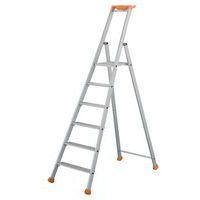 Marchepied MP Pro - 3 à 9 marches - Tubesca - Image principale