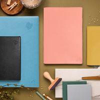 UNIVERSITAIRE R rep ML Equology pamplemo - Image 2