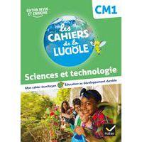 Les cahiers de la luciole CM1 sciences cahier d'exercices - Image principale