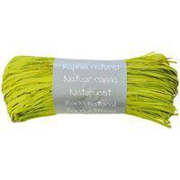 Pelote raphia naturel 50g, Vert anis - Image principale