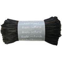 Pelote raphia naturel 50g, Noir - Image principale