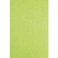 Rame 480 feuilles papier de soie 75x50cm, Vert pomme - Image 2