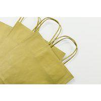 Paquet de 25 sacs kraft lisse 100g, 16x8x21cm, Or - Image 2