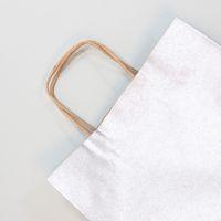 Paquet de 25 sacs kraft lisse 100g, 22x10x27cm, Argent - Image 2