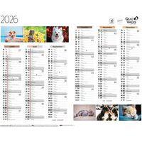 Lot de 10 Calendrier 2025 FANTAISIE 43X33,5 animaux par 10 - Image 2