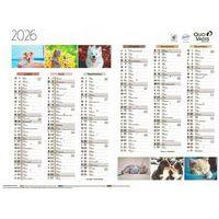 Lot de 10 Calendrier 2025 FANTAISIE 55X40,5 animaux par 10 thumbnail image 2